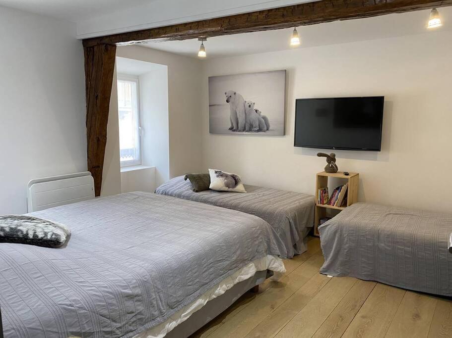 Au Grand Duc Apartman Cauterets Kültér fotó